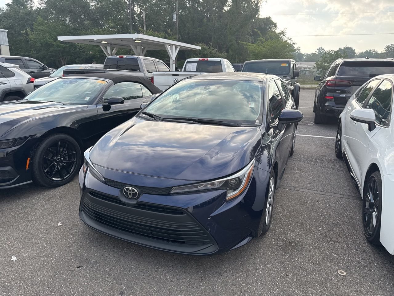 2025 Toyota Corolla LE CVT's photo