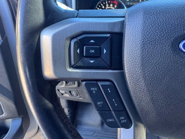 Used 2020 Silver Ford Platinum image 19