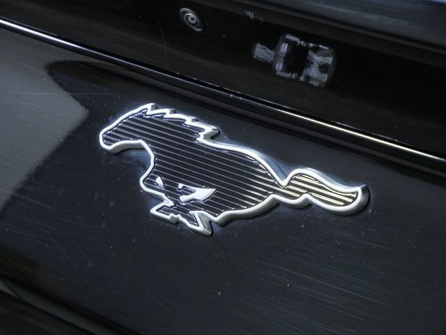Certified Used 2025 Black Ford Select image 8