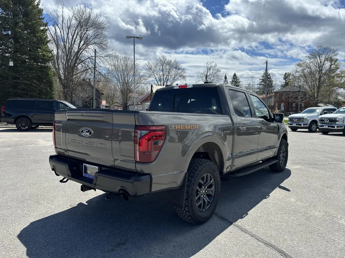 Used 2026 Grey Ford Tremor image 5