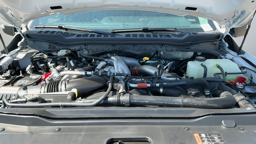 New 2026 Oxford White Ford XLT image 23