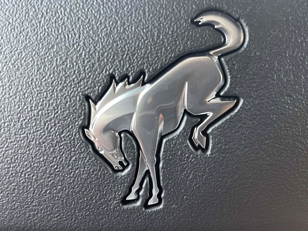 New 2025 White Ford Stroppe Edition image 24