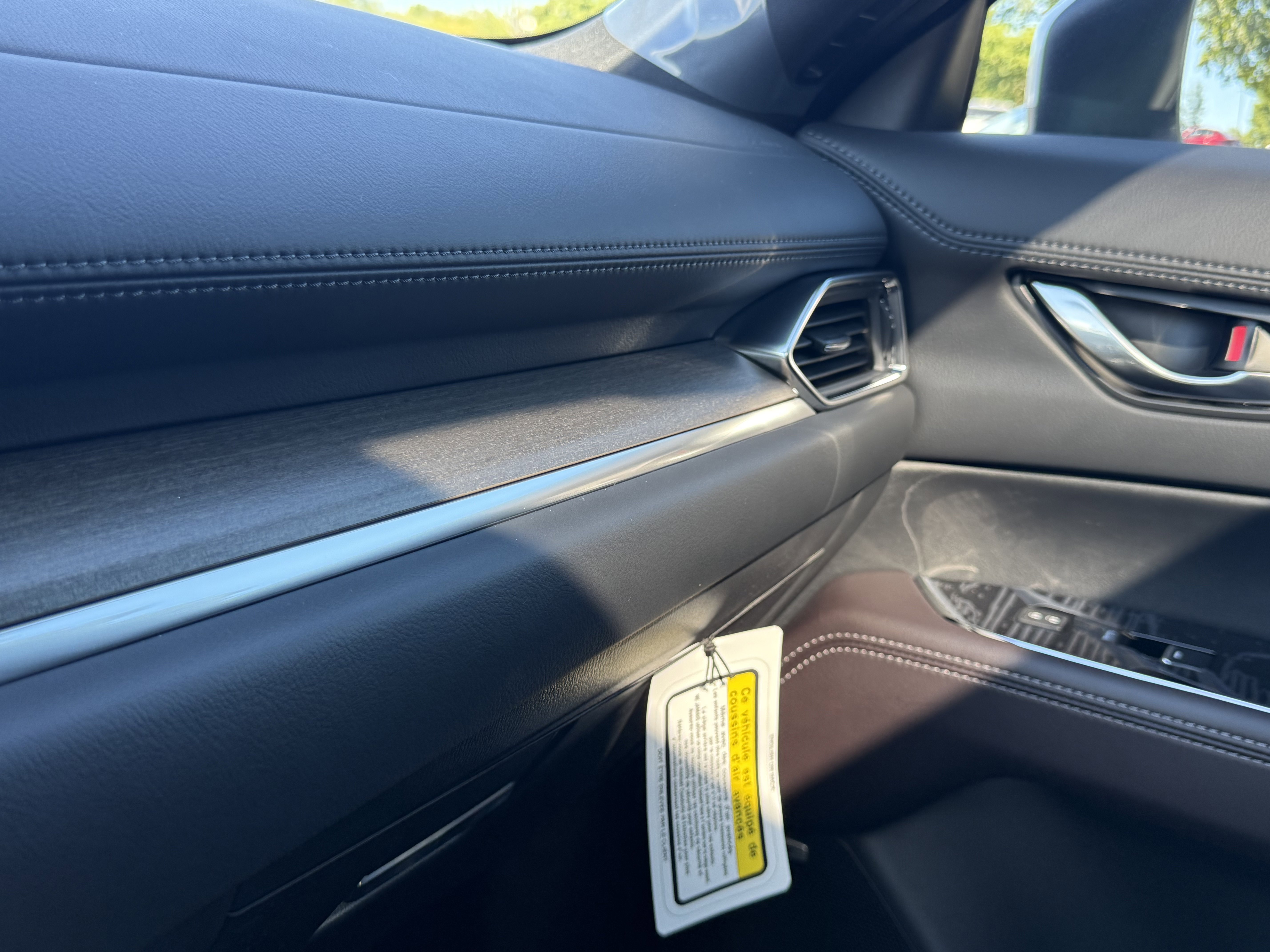 2025 Mazda CX-5 Turbo Signature - Photo 29