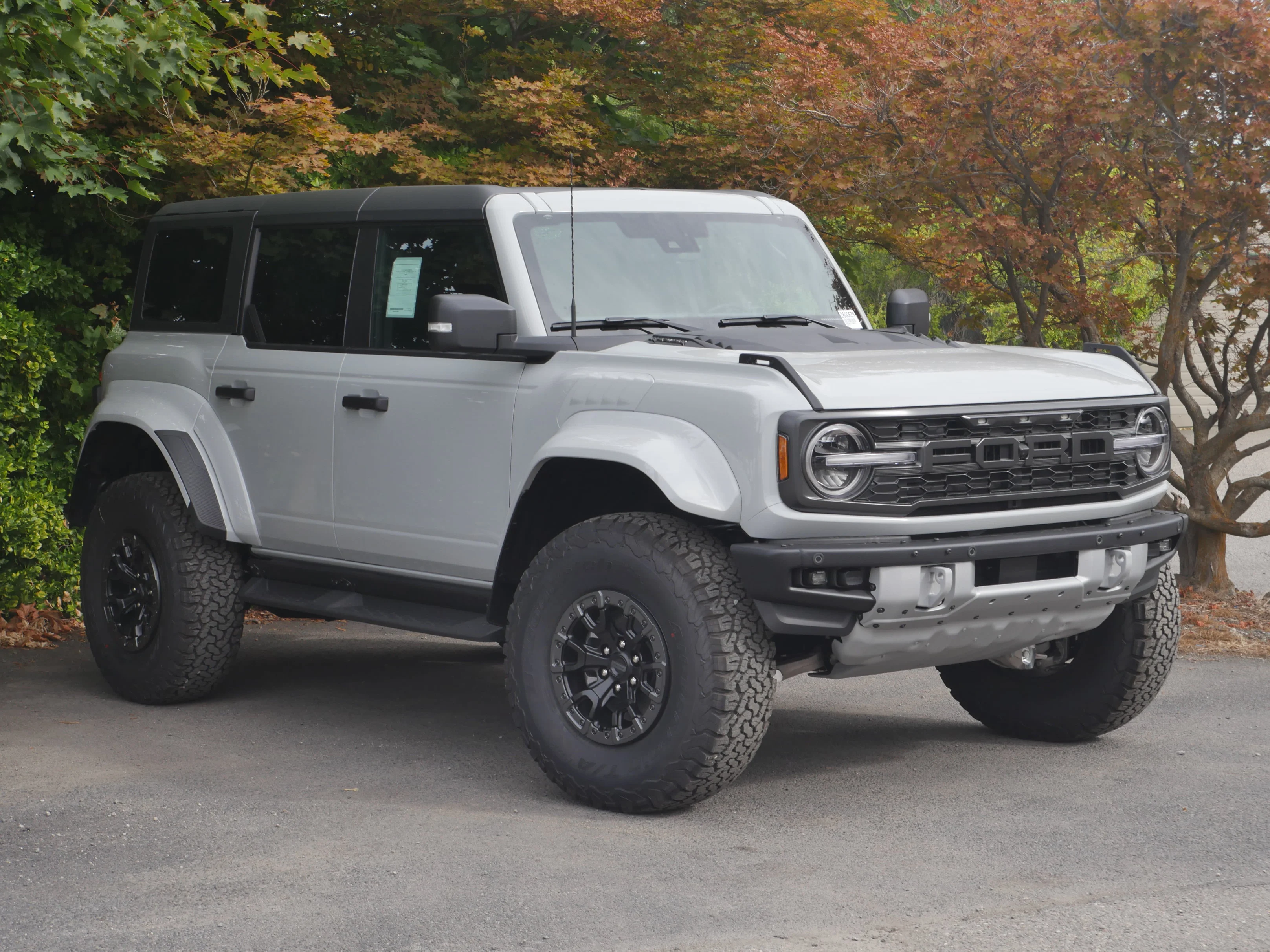 New 2026 Avalanche Gray Ford Raptor image 37