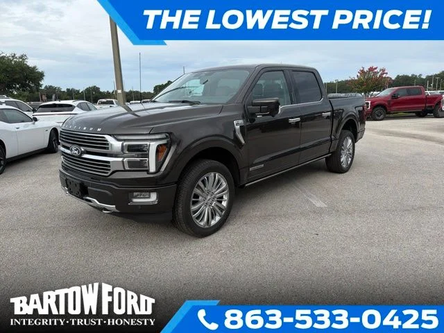 Used 2024 Brown Ford Platinum image 1