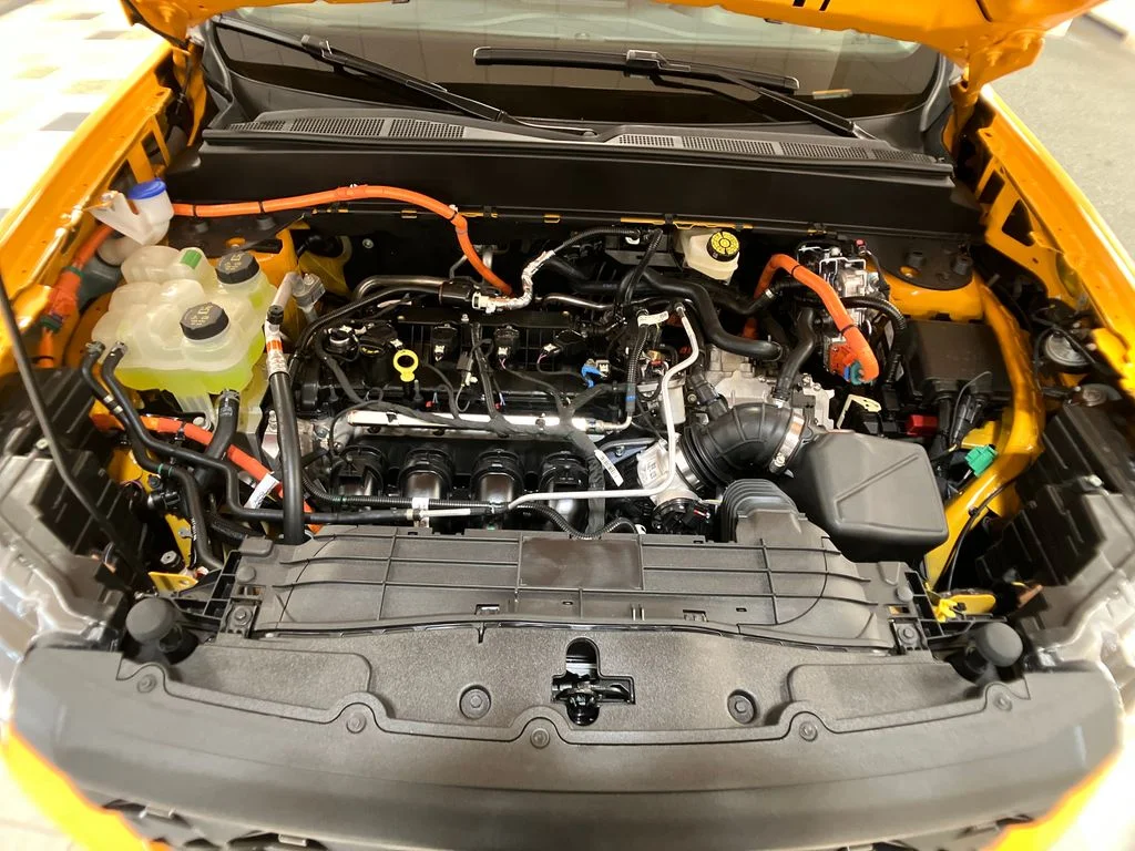 View 25
