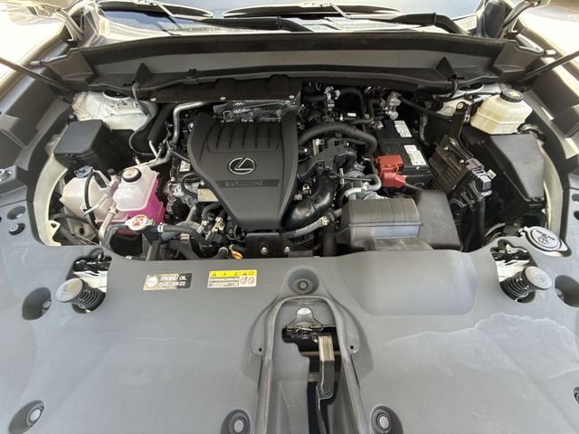 2024 Lexus TX 350 - Photo 28