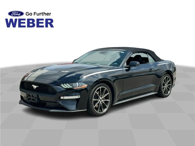 Used 2019 Shadow Black Ford EcoBoost Premium Convertible image 1