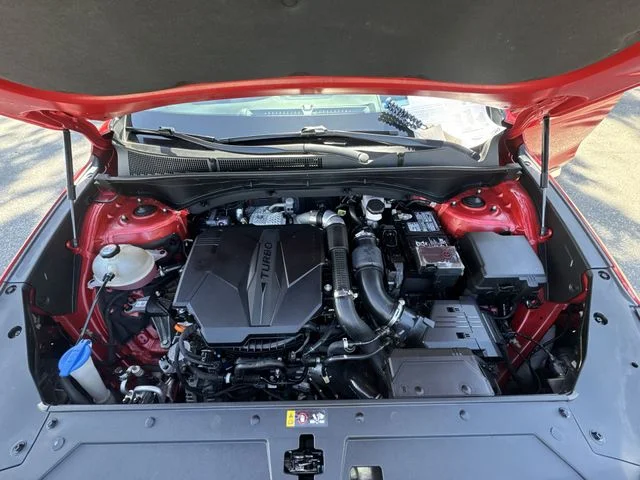 Used 2021 Red Hyundai Calligraphy image 31
