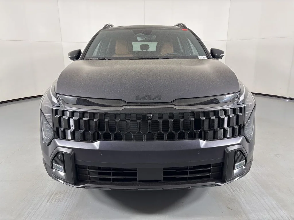 New 2026 Panthera Metal Matte Kia X-Line image 3