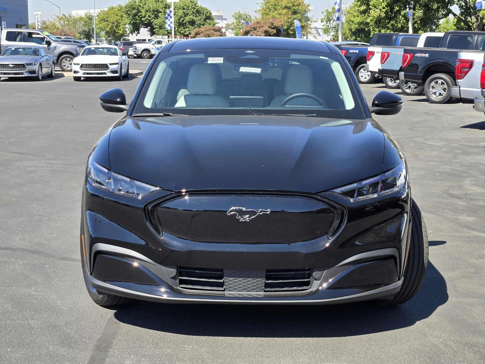 New 2026 Shadow Black Ford Premium image 2