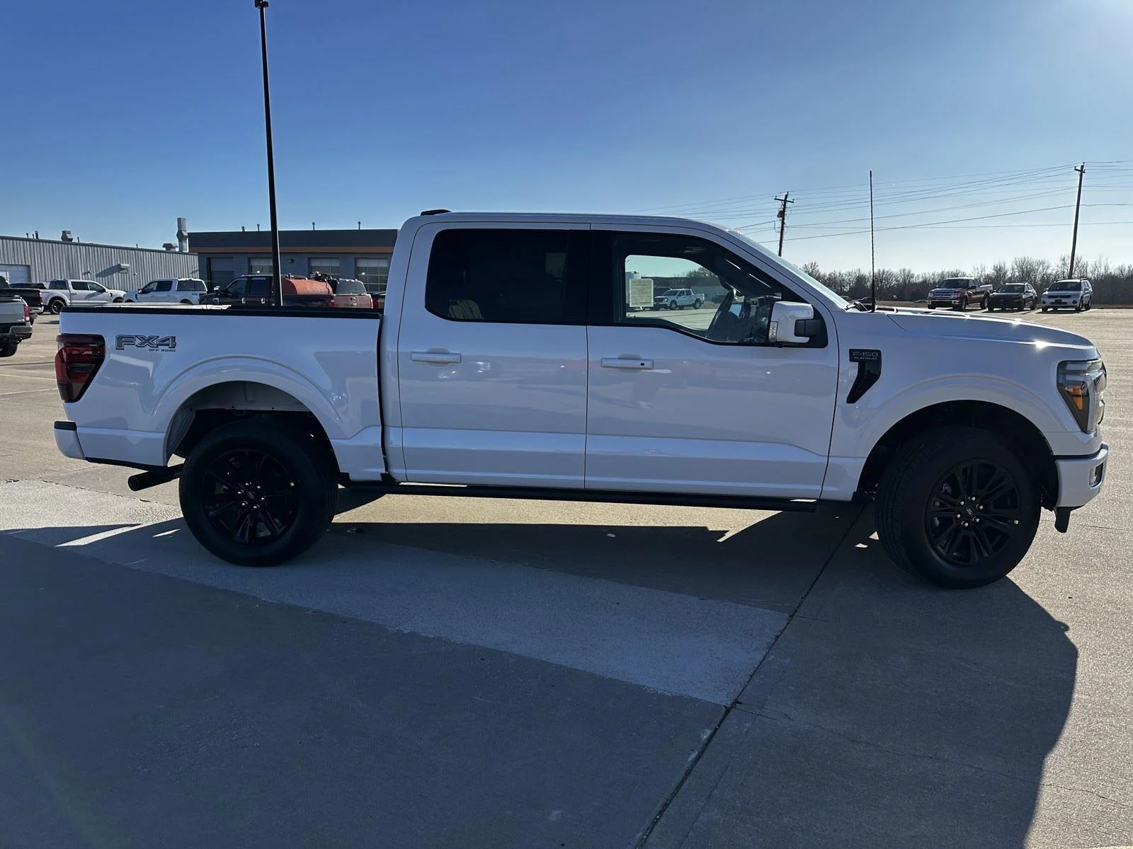 New 2025 Star White Metallic Tri-Coat Ford Platinum image 11