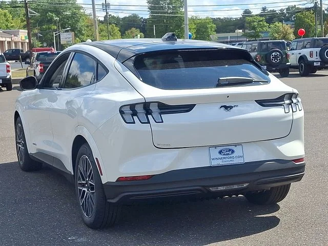 New 2025 White Ford Premium image 3