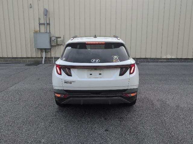 Used 2023 White Hyundai Limited image 6