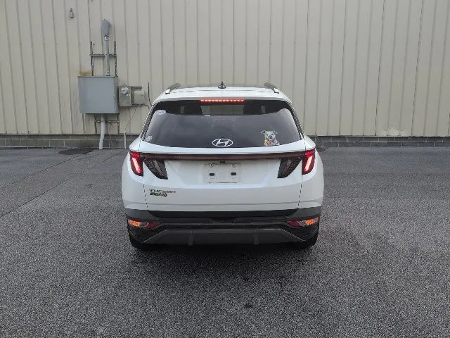 Used 2023 White Hyundai Limited image 6