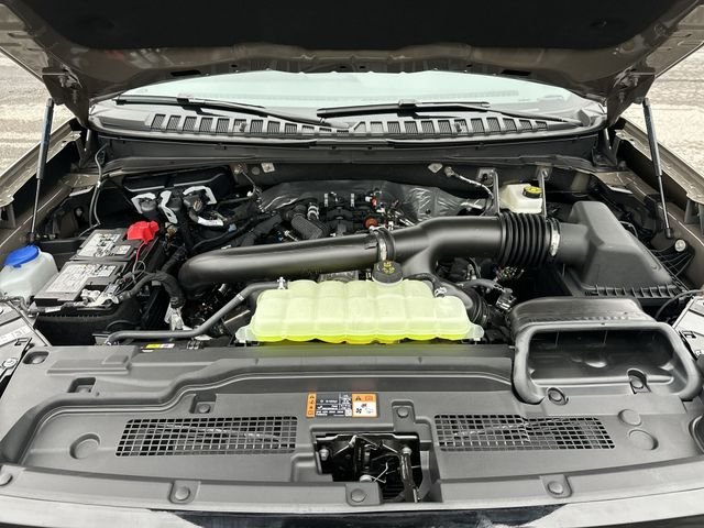 New 2026 Gray Ford Tremor image 20