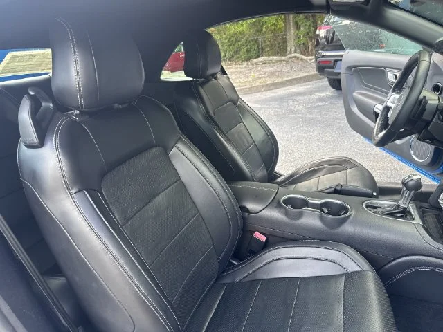 Used 2019 Blue Ford EcoBoost Premium image 10