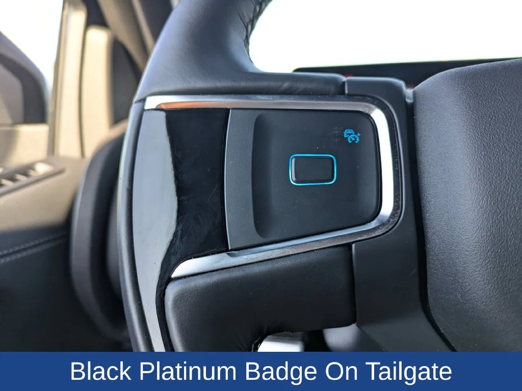 2025 Ford Expedition Platinum - Photo 31