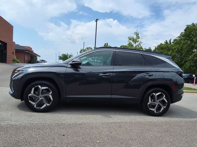 Used 2023 Gray Hyundai Limited image 4
