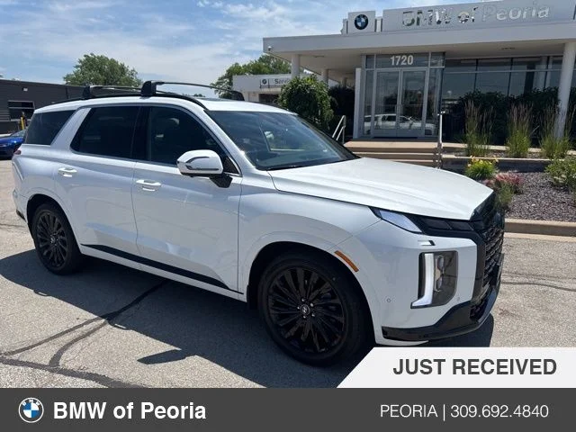 2025 Hyundai Palisade Calligraphy Night Edition AWD's photo