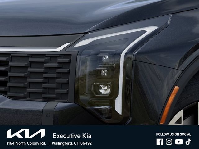 New 2026 Panthera Metal Kia LX image 10