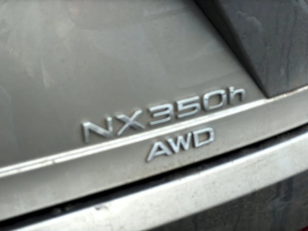 Used 2022 Atomic Silver Lexus Luxury image 31