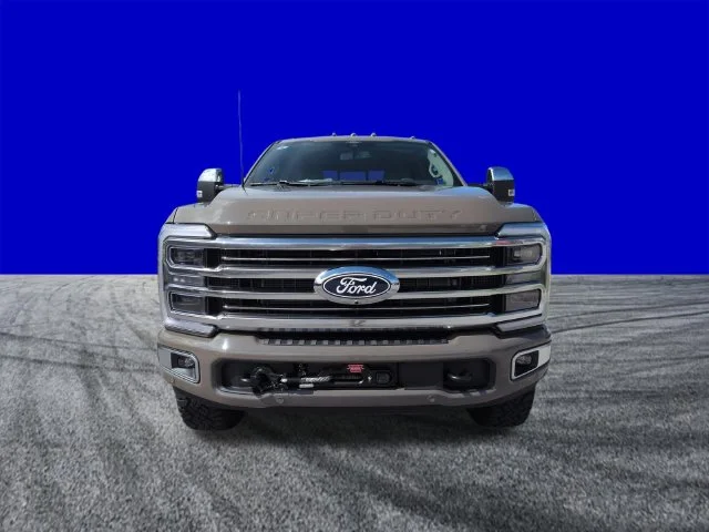 New 2027 Gray Ford Platinum image 9