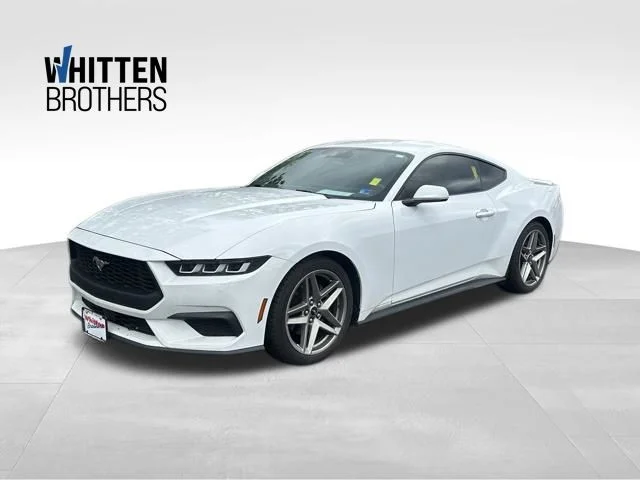 2024 Ford Mustang EcoBoost Premium Fastback's photo