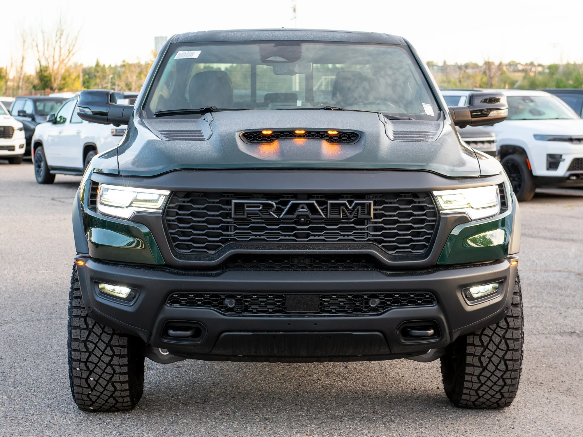 New 2026 Green RAM RHO* image 13