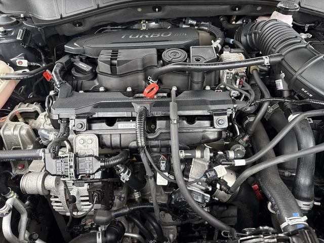 Used 2024 Black Hyundai N Line image 12