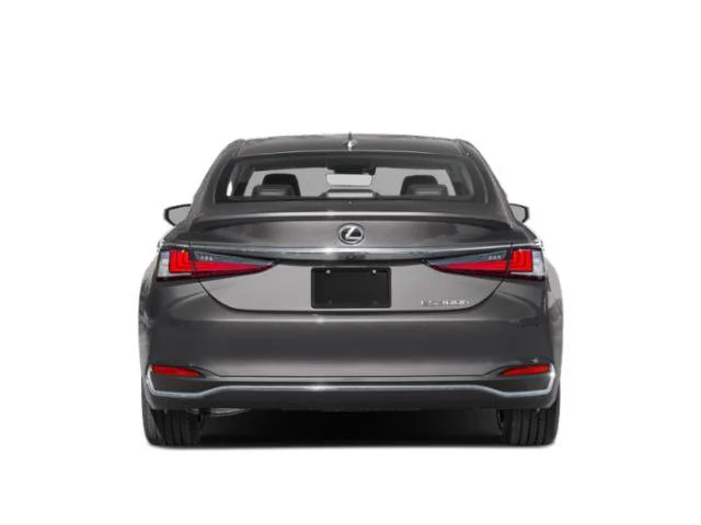 Used 2025 Caviar Lexus 300h Luxury image 5