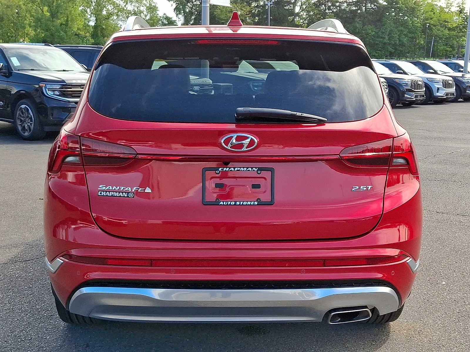 Used 2023 Calypso Red Hyundai Calligraphy image 5