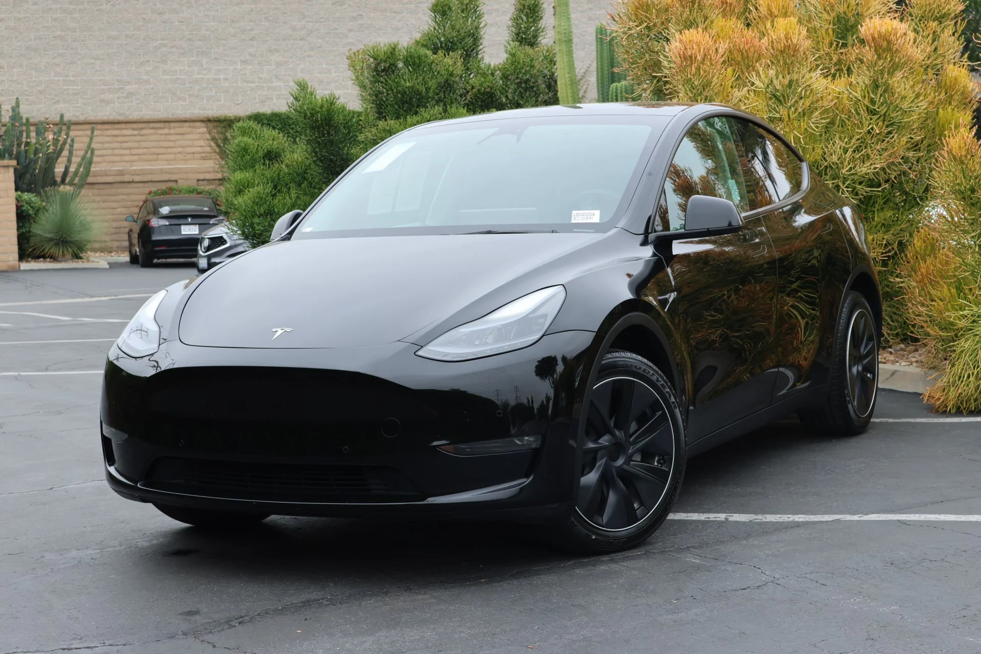 2022 Tesla Model Y Long Range Dual Motor All-Wheel Drive's photo