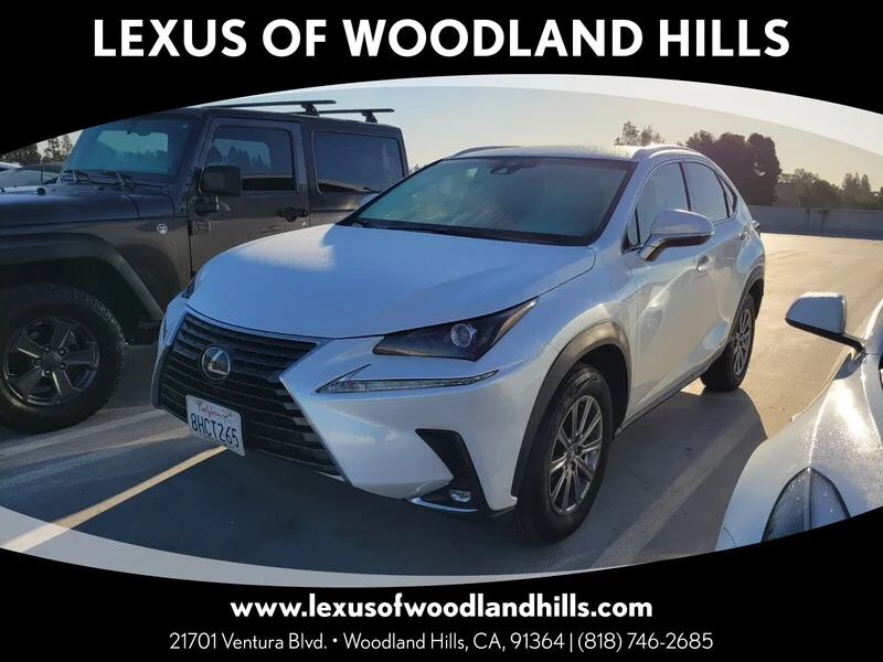 2019 Lexus NX 350h 300h AWD's photo