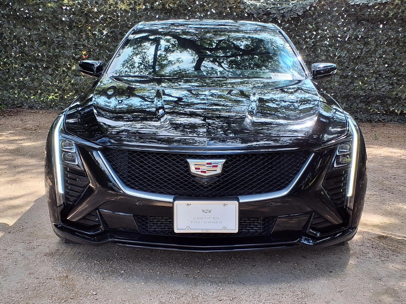 Certified Used 2026 Black Raven Cadillac Sport image 2