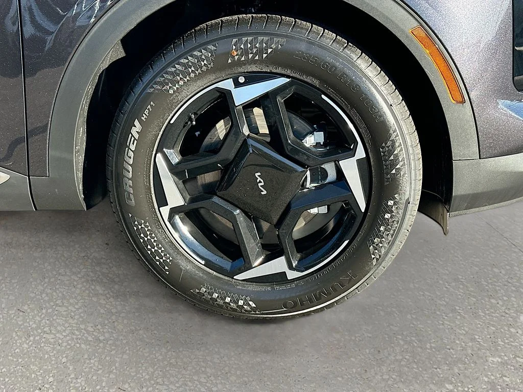 New 2026 Panthera Metal Kia EX image 30