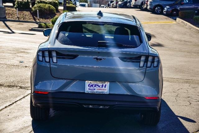 New 2026 Glacier Gray Metallic Tri-coat Ford Select image 33