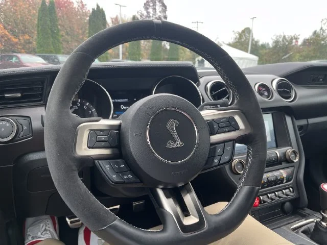 Used 2018 Race Red Ford Shelby GT350 image 24