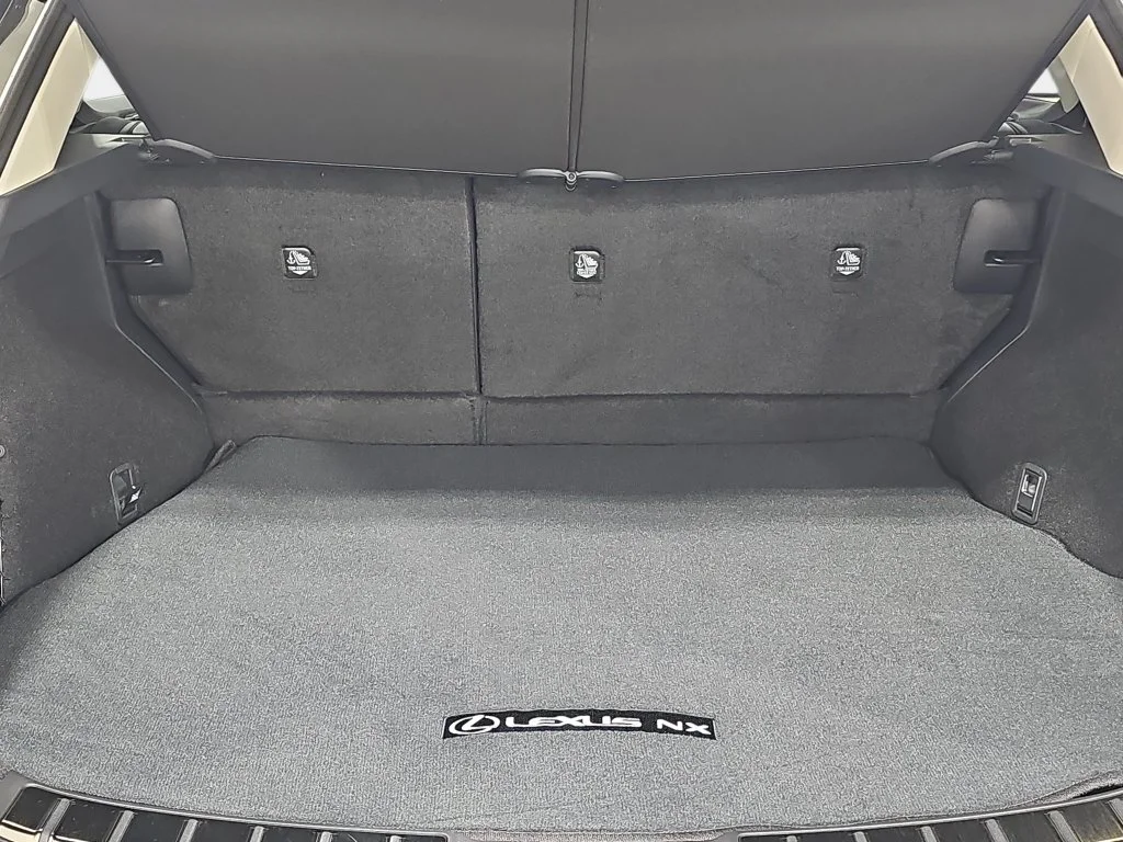 New 2026 Nori Green Pearl Lexus PREMIUM image 12