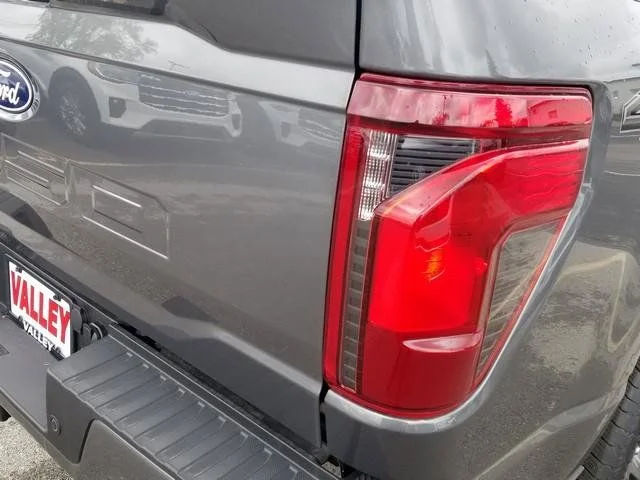 New 2026 Gray Ford STX image 5