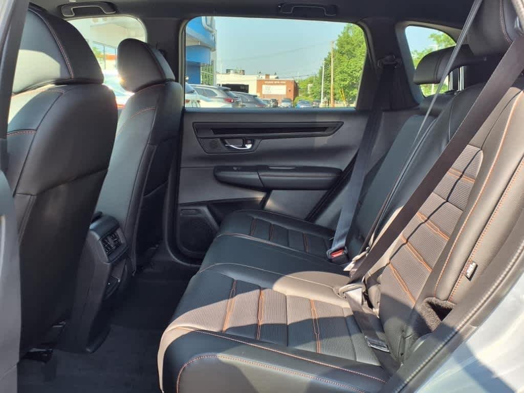 New 2026 Urban Gray Pearl Honda Sport-L image 6