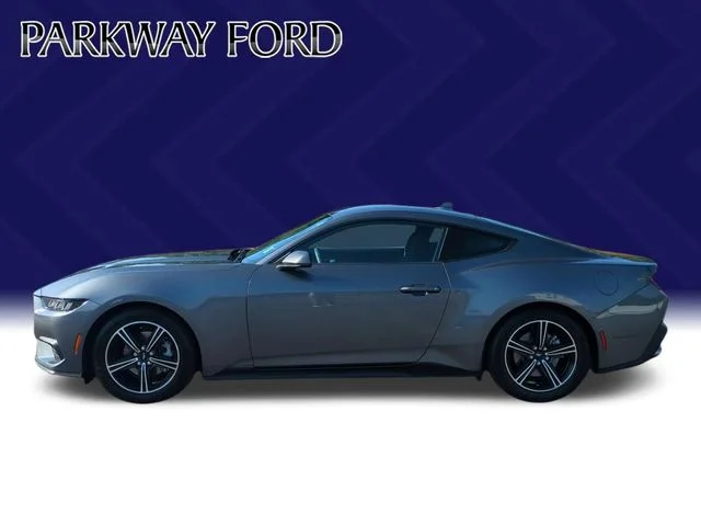 Used 2024 Gray Ford EcoBoost image 2