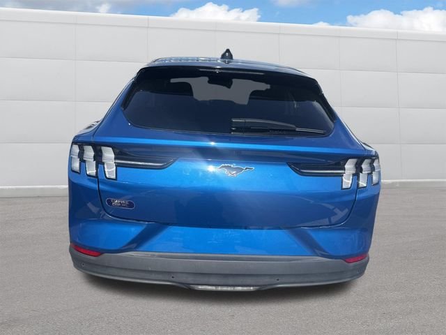 Used 2025 Blue Metallic Ford Premium image 4