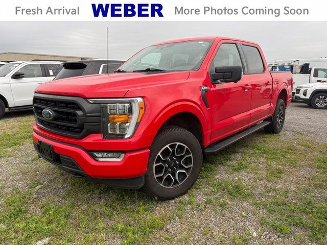2023 Ford F-150 XLT 4WD SuperCrew 5.5' Box