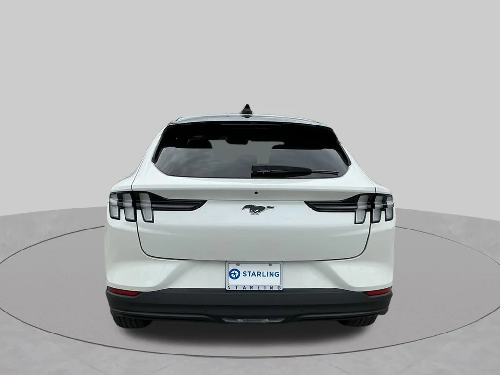 Used 2025 White Ford Premium image 13