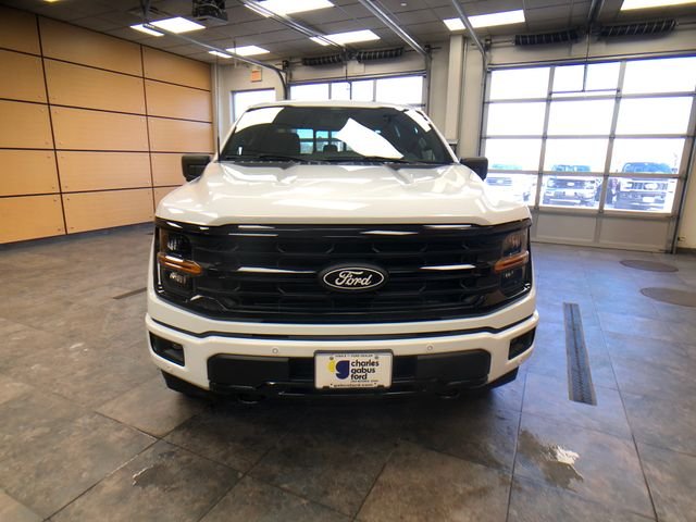 New 2026 Oxford White Ford XLT image 2