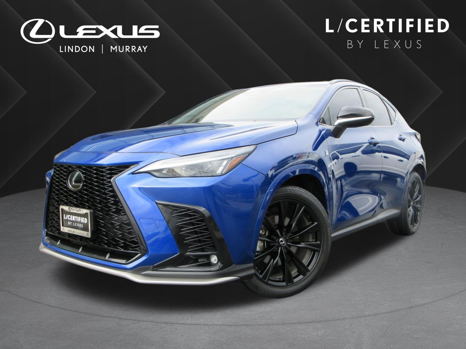2024 Lexus NX