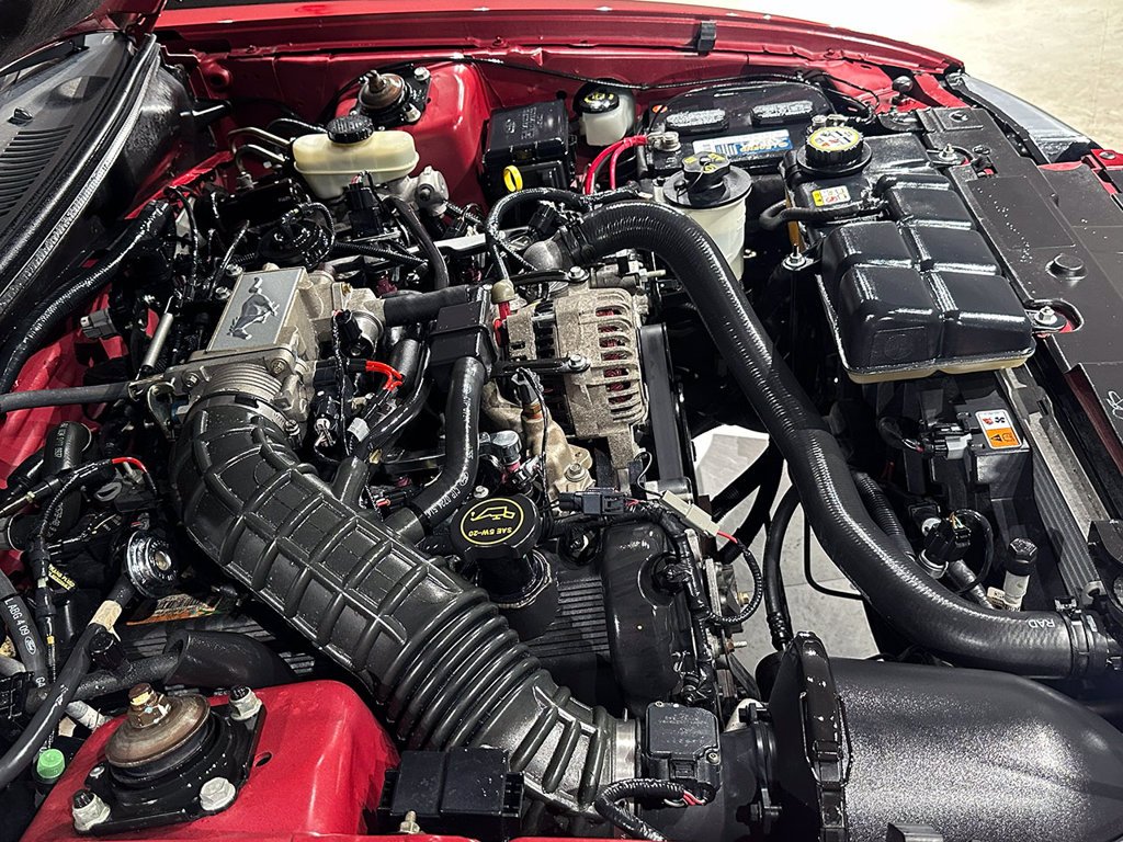 Used 2004  Ford GT image 26