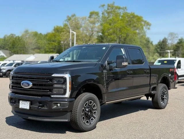 New 2026 Black Ford Platinum image 10