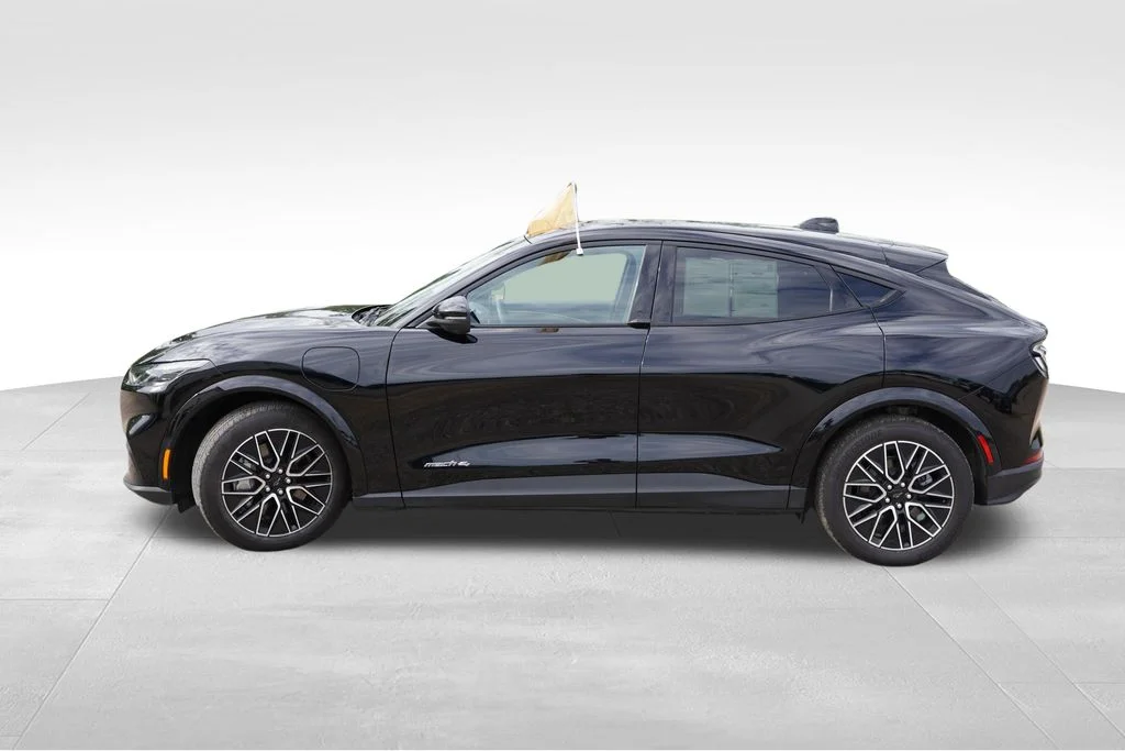 Used 2025 Black Ford Premium image 9